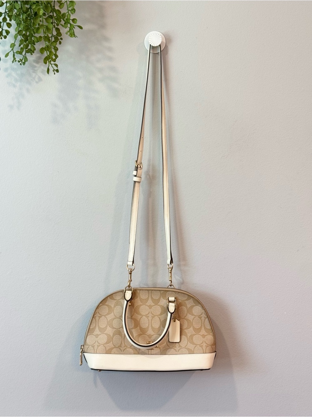 Coach Khaki & Chalk Signature Dome Crossbody
